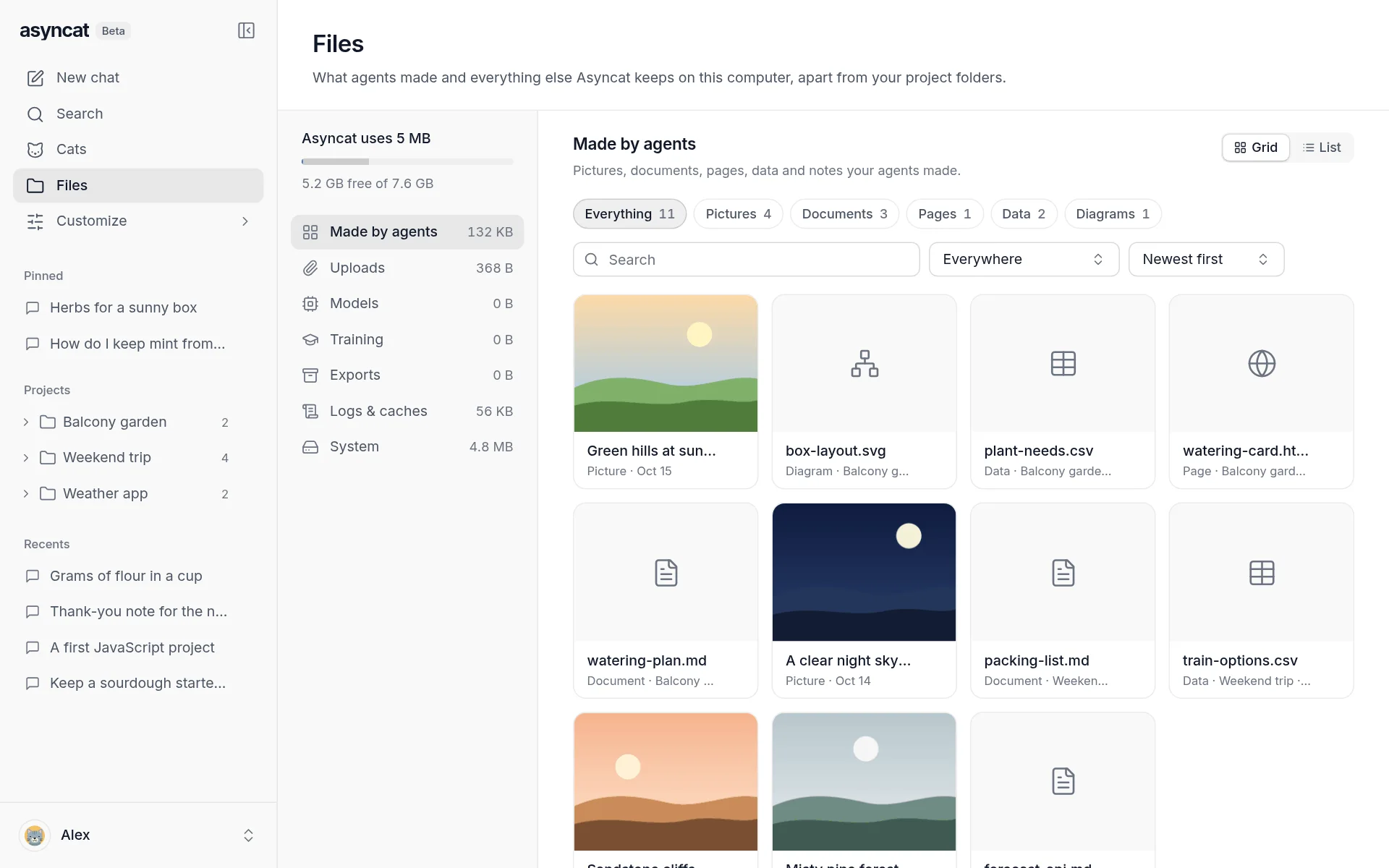 Files, with the pictures, documents, pages and data agents made