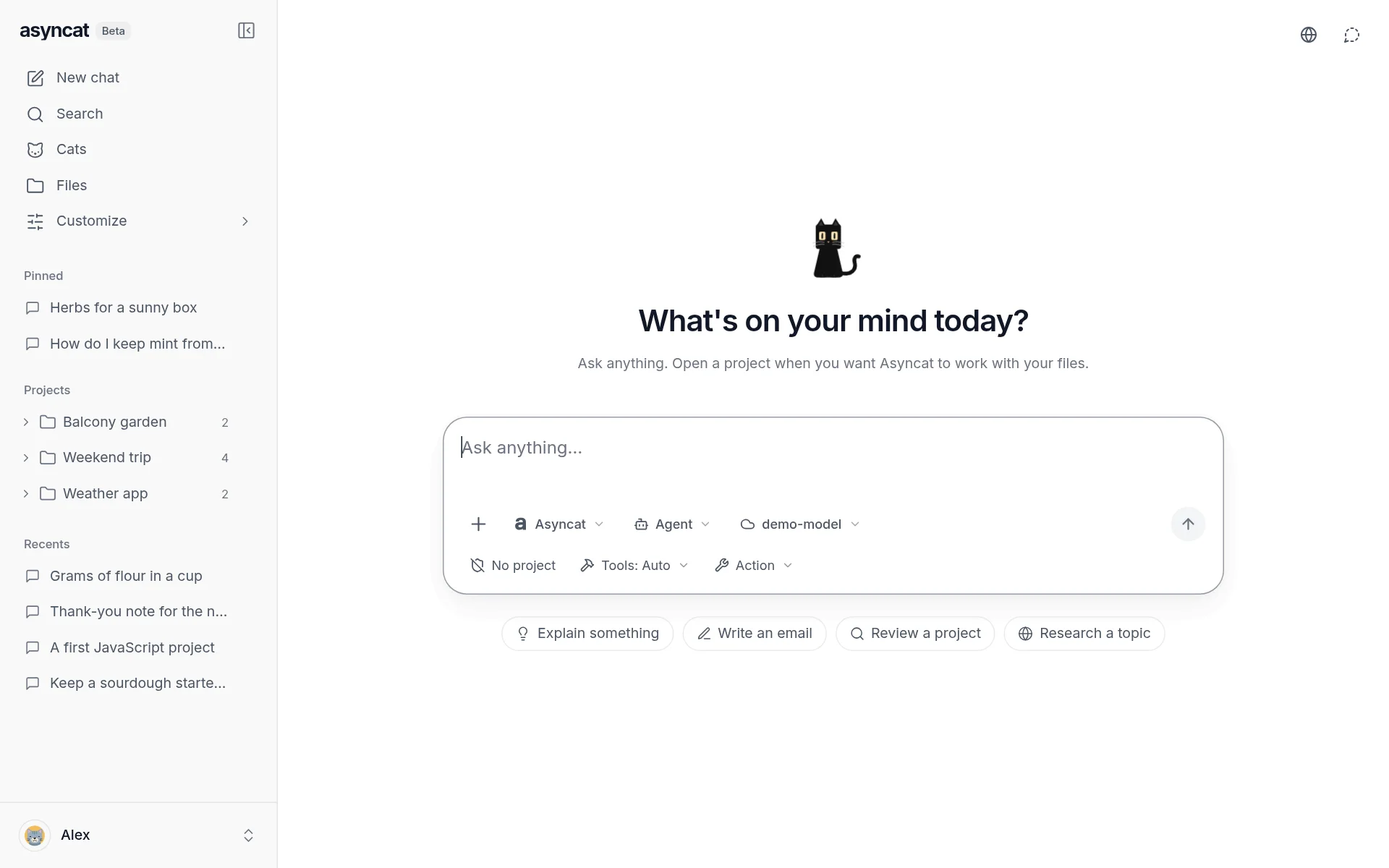 Home screen with pinned chats, projects and recent chats in the sidebar