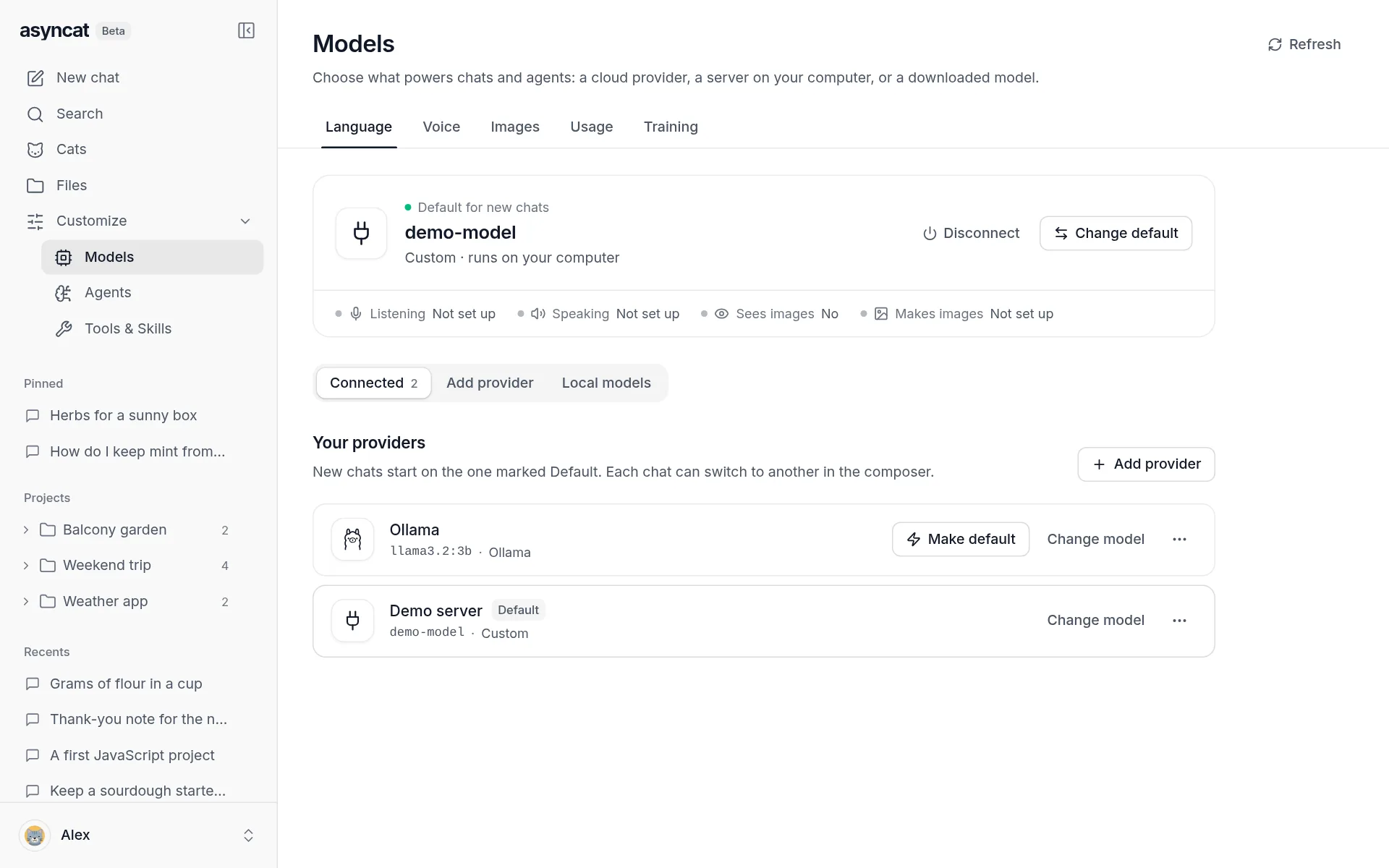 Models page with the default model for new chats and two providers