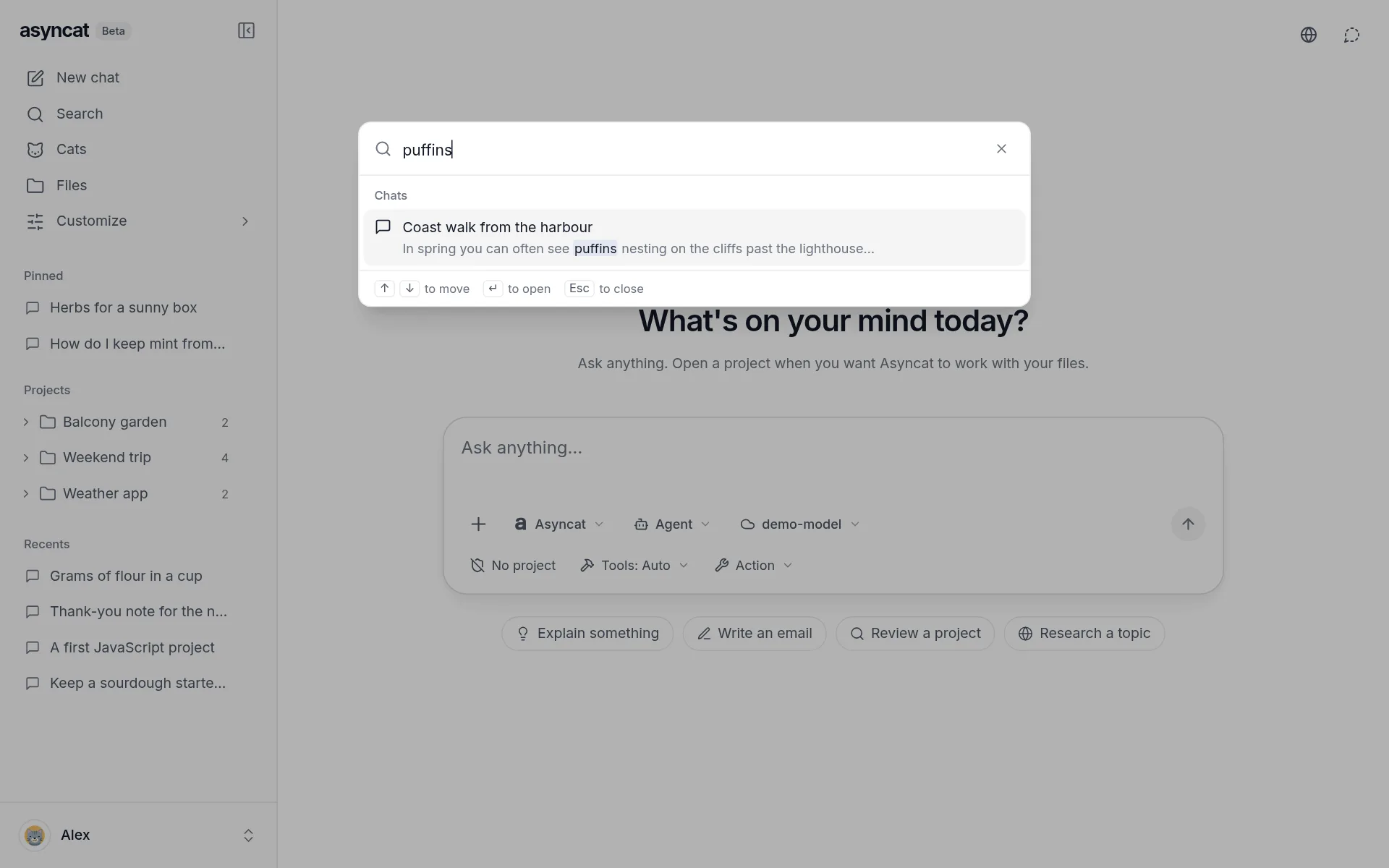 Search finding a word said in a chat, with the sentence around it
